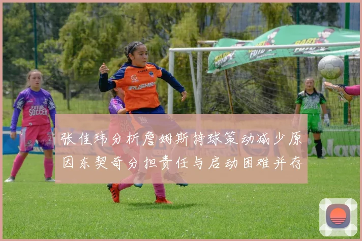 张佳玮分析詹姆斯持球策动减少原因东契奇分担责任与启动困难并存