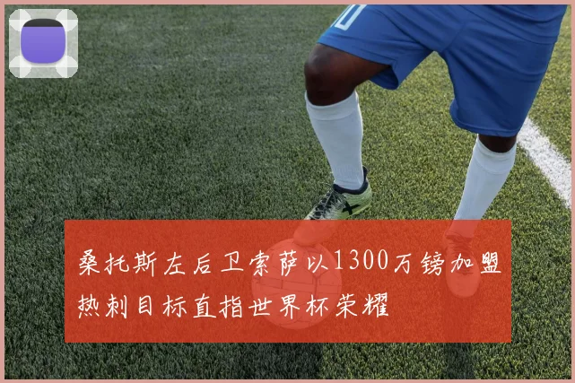 桑托斯左后卫索萨以1300万镑加盟热刺目标直指世界杯荣耀
