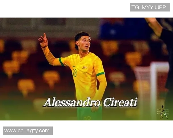 意甲观众人数创新高三十年电视收视率同步增长引发关注